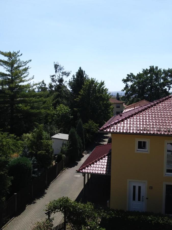 Fewo Am Wilden Mann Apartment Dresden Ngoại thất bức ảnh