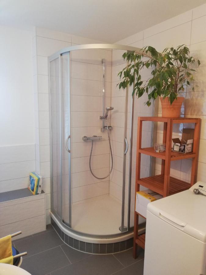 Fewo Am Wilden Mann Apartment Dresden Ngoại thất bức ảnh