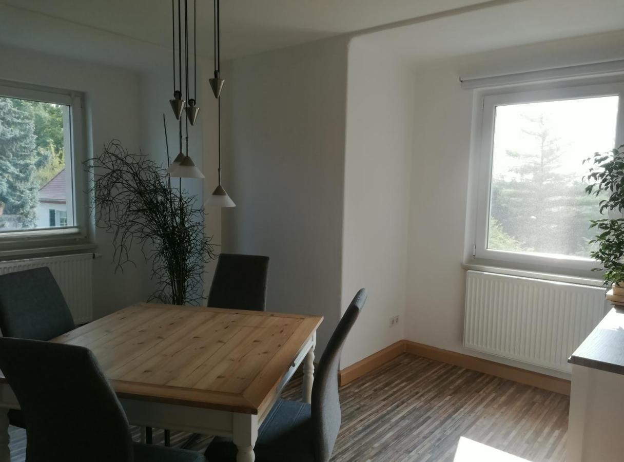 Fewo Am Wilden Mann Apartment Dresden Ngoại thất bức ảnh