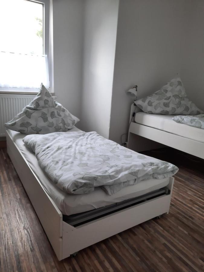 Fewo Am Wilden Mann Apartment Dresden Ngoại thất bức ảnh